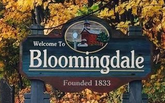 Local Bloomingdale Remodeling and Deck Contractor